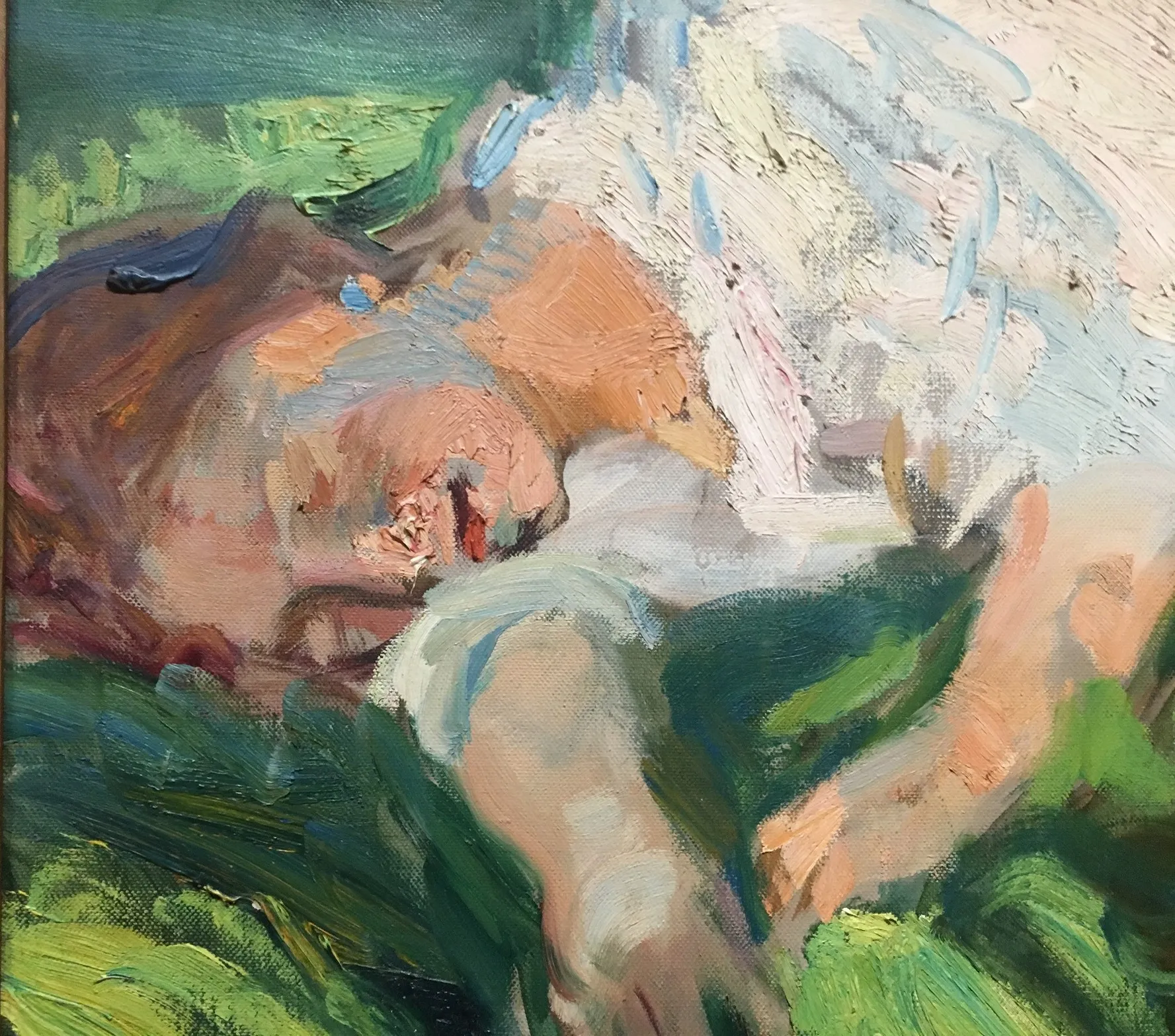 Detail of a reclining figure's face in dappled light passing into cool shadow, Sorolla