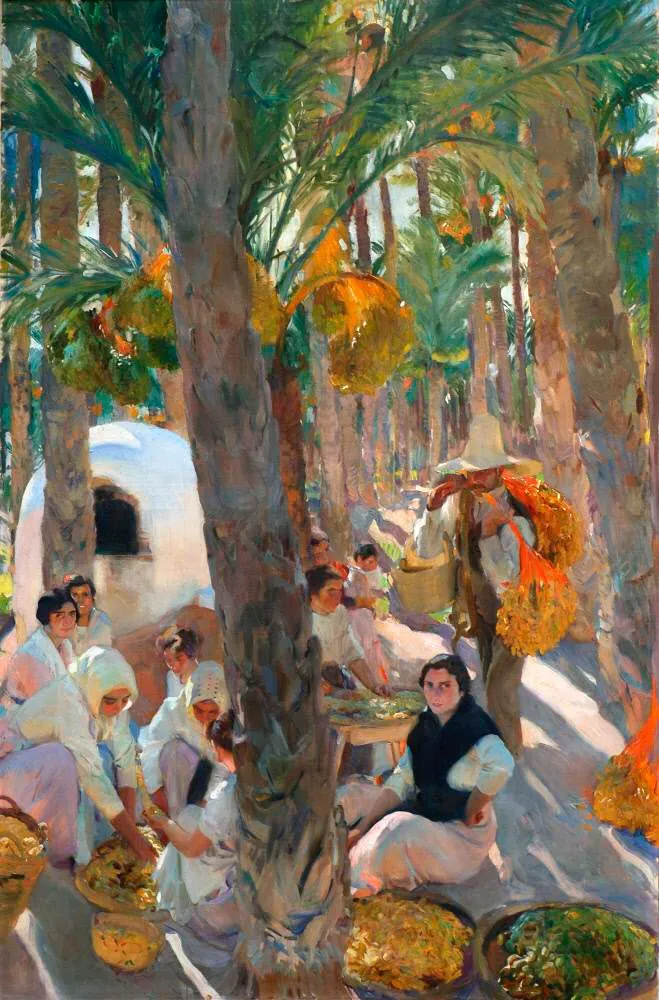 Workers gather among the towering palms of Elche's ancient grove, sunlight filtering through the fronds onto the harvest below.
